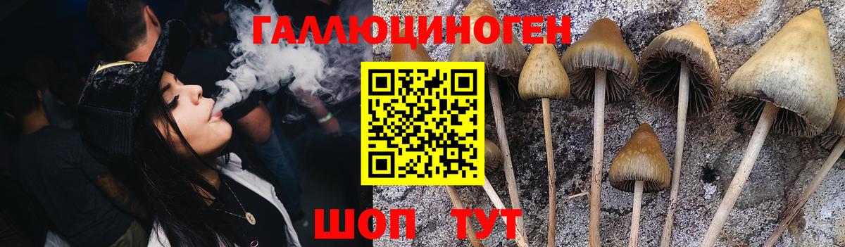 Гурьевск  Галлюциногенные грибы Magic Shrooms  Вход с VPN 