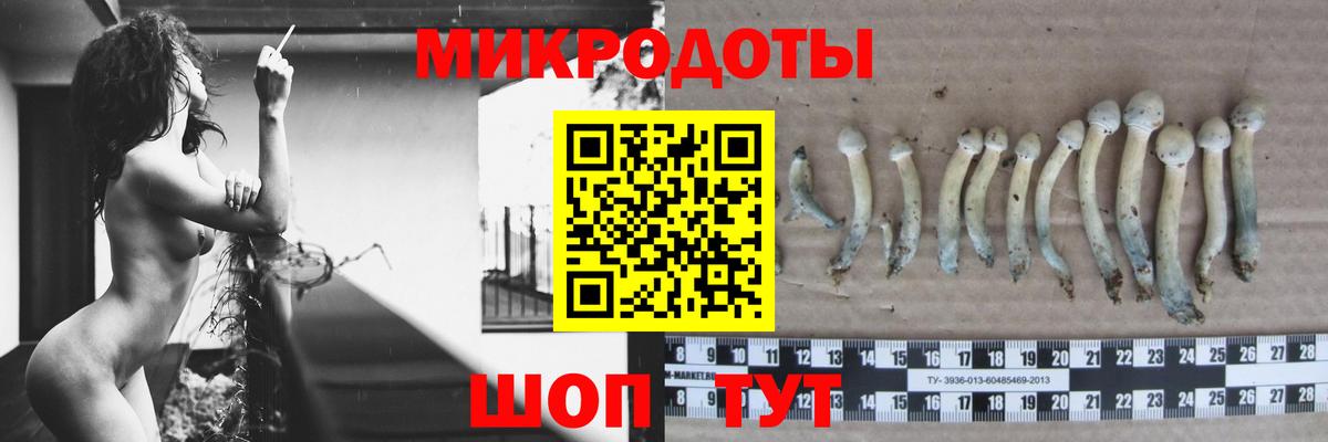 Галлюциногенные грибы прущие грибы Гурьевск